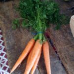 Carote (mazzo) (Copia)