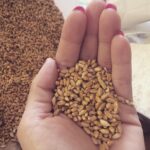 Farro 300 gr (Copia)