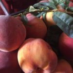 Pesche 1kg (Copia)